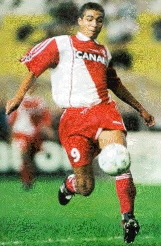 david